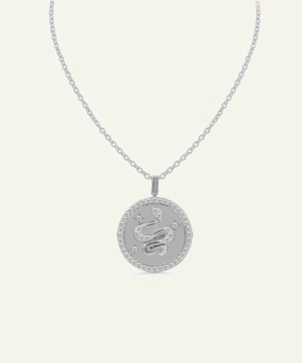 Silver necklace with a zodiac pendant on a light gray background