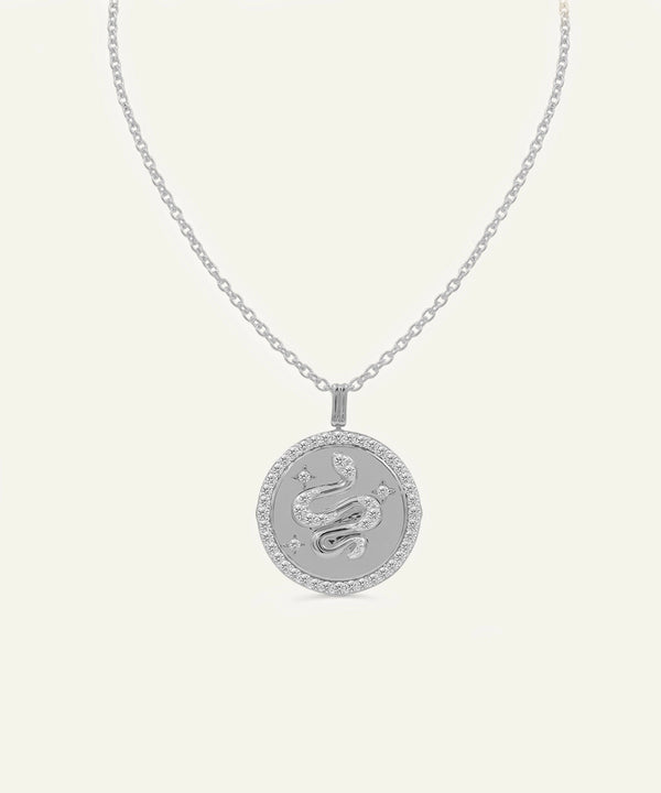 Silver necklace with a zodiac pendant on a light gray background